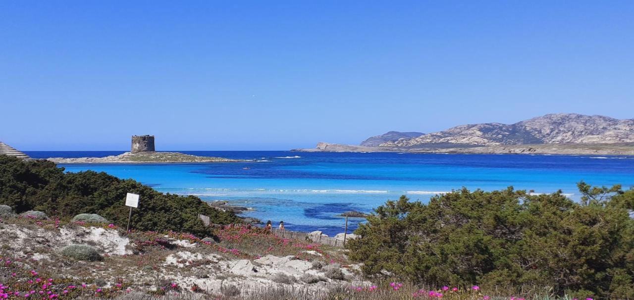 B&B Giomar Sardegna Nord Ovest Campanedda Zewnętrze zdjęcie