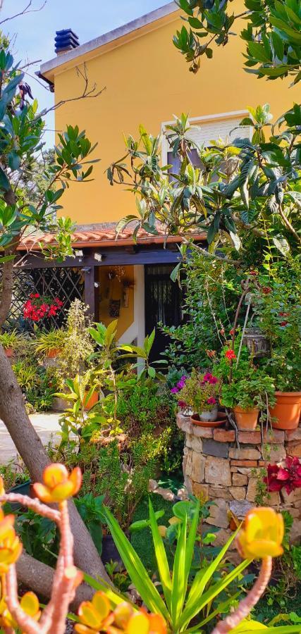 B&B Giomar Sardegna Nord Ovest Campanedda Zewnętrze zdjęcie